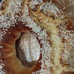 Brioche Couronne_Sucre_Douceurs Suprêmes